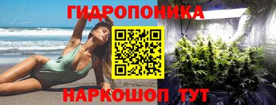 ГАЛЛЮЦИНОГЕННЫЕ ГРИБЫ Нягань