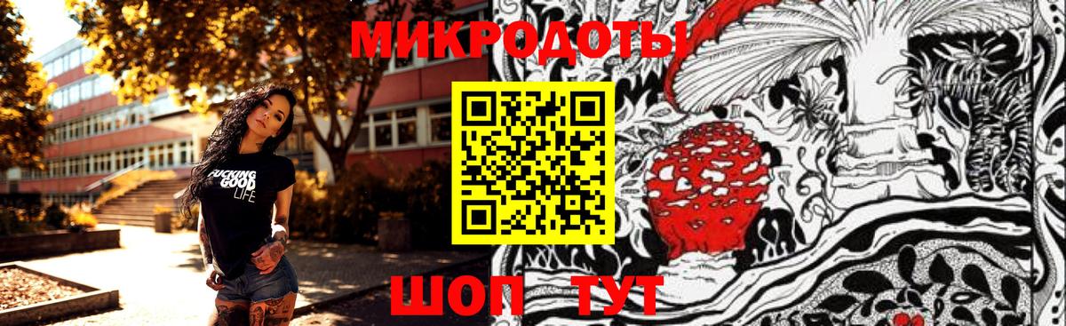 Псилоцибиновые грибы GOLDEN TEACHER Тосно